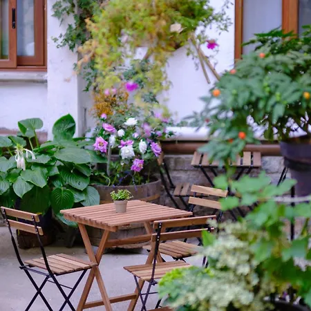 Maza Especial Grupos Biescas (Aragon)