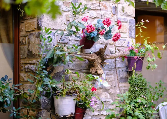 Maza Especial Grupos Bed & Breakfast